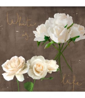 White Roses - Teo Rizzardi