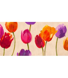Tulips & Colors - Luca Villa