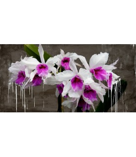Orchid blackboard - Alex Vinci