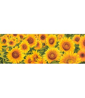 Field of Sunflowers - Luca Villa