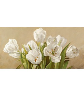 Tulipani bianchi - Serena...