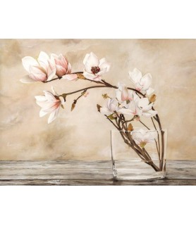 Fiori di magnolia - Cristina Mavaracchio