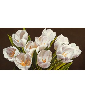 Bouquet di tulipani -...
