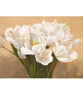 Tulipes blanches - Leonardo Sanna