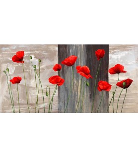 Country Poppies - Jenny...