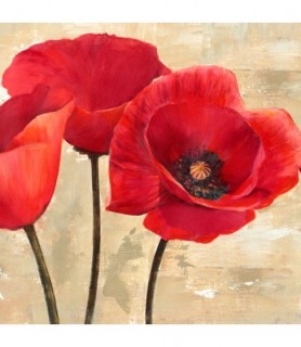 Red Poppies (detail) - Cynthia Ann