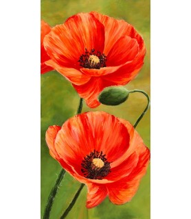 Poppies in the wind II -...