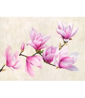 Ramo di magnolia - Luca Villa