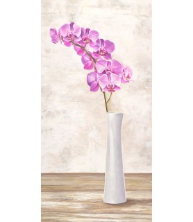Orchid Arrangement - Shin...