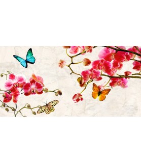 Orchids & Butterflies - Teo Rizzardi