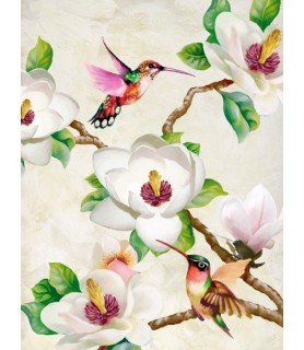 Magnolia and Humming Birds - Terry Wang