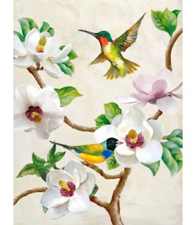 Magnolia and Birds - Terry Wang