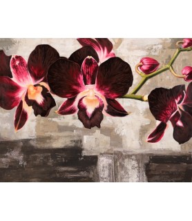 Velvet Orchids - Shin Mills