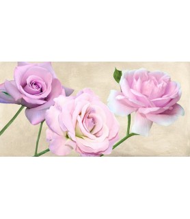 Rose classiche - Serena Biffi
