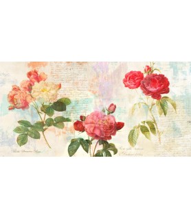 Redouté's Roses 2.0 - Eric Chestier