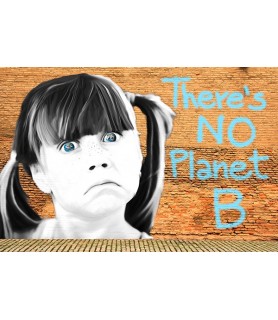 No Planet B - Masterfunk Collective