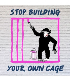 Chimp in Cage - Masterfunk...