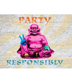 Party Responsibly - Masterfunk Collective