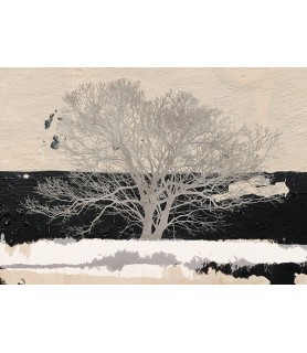 Silver Tree - Alessio Aprile