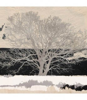Silver Tree (detail) - Alessio Aprile