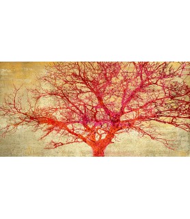 Coral Tree - Alessio Aprile