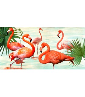 Flamingos - Teo Rizzardi