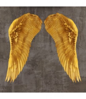 Angel Wings I - Joannoo