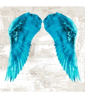 Angel Wings II - Joannoo
