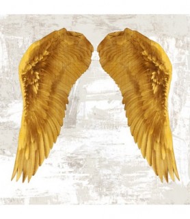 Angel Wings IV - Joannoo