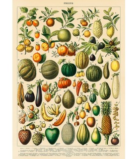 Fruits and Vegetables - Adolphe Millot