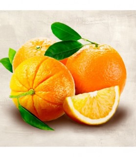 Oranges - Remo Barbieri