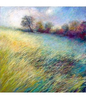 Feathered Field - Nel Whatmore