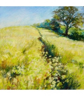 Fields of Gold - Nel Whatmore