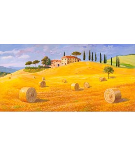 Colline in Toscana -...