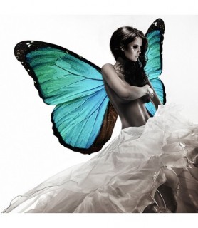 Winged Beauty 1 - Julian Lauren