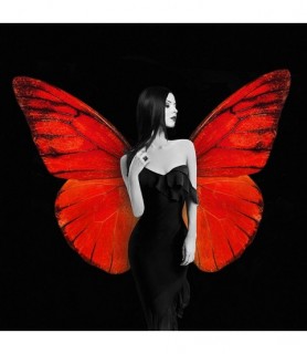 Winged Beauty 2 - Julian Lauren