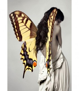 Winged Beauty 3 - Julian Lauren