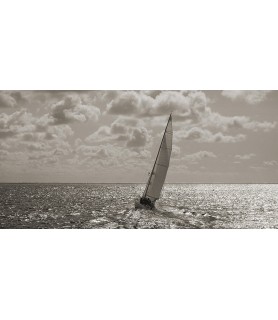 Sailing (detail) - Pangea...