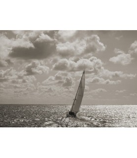 Sailing - Pangea Images