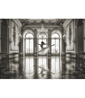 Ballerina in a palace hall...