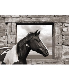 Painted Horse (BW) - Julian Lauren