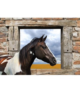 Painted Horse - Julian Lauren