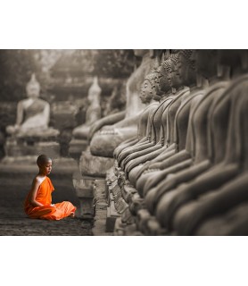 Young Buddhist Monk praying, Thailand (BW) - Pangea Images