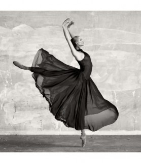Ballerina Dancing (detail)...