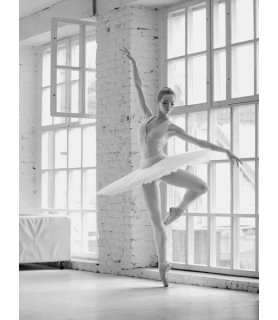 Ballerina Rehearsing -...
