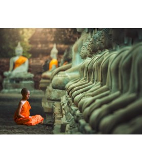 Young Buddhist Monk praying, Thailand - Pangea Images