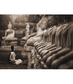Young Buddhist Monk praying, Thailand (sepia) - Pangea Images
