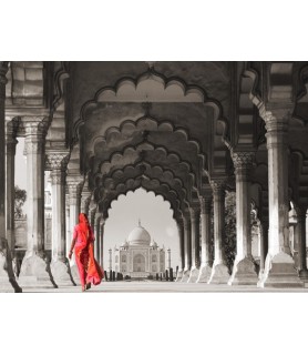Woman in traditional Sari walking towards Taj Mahal (BW) - Pangea Images