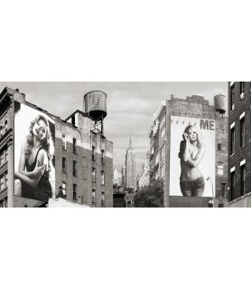 Billboards in Manhattan -...