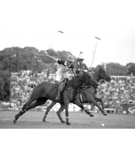 Polo players, Argentina - Anonymous